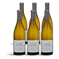 Domaine de la Garenne Sancerre Alliance Blanc 2024 - 75cl - Miniatura 4