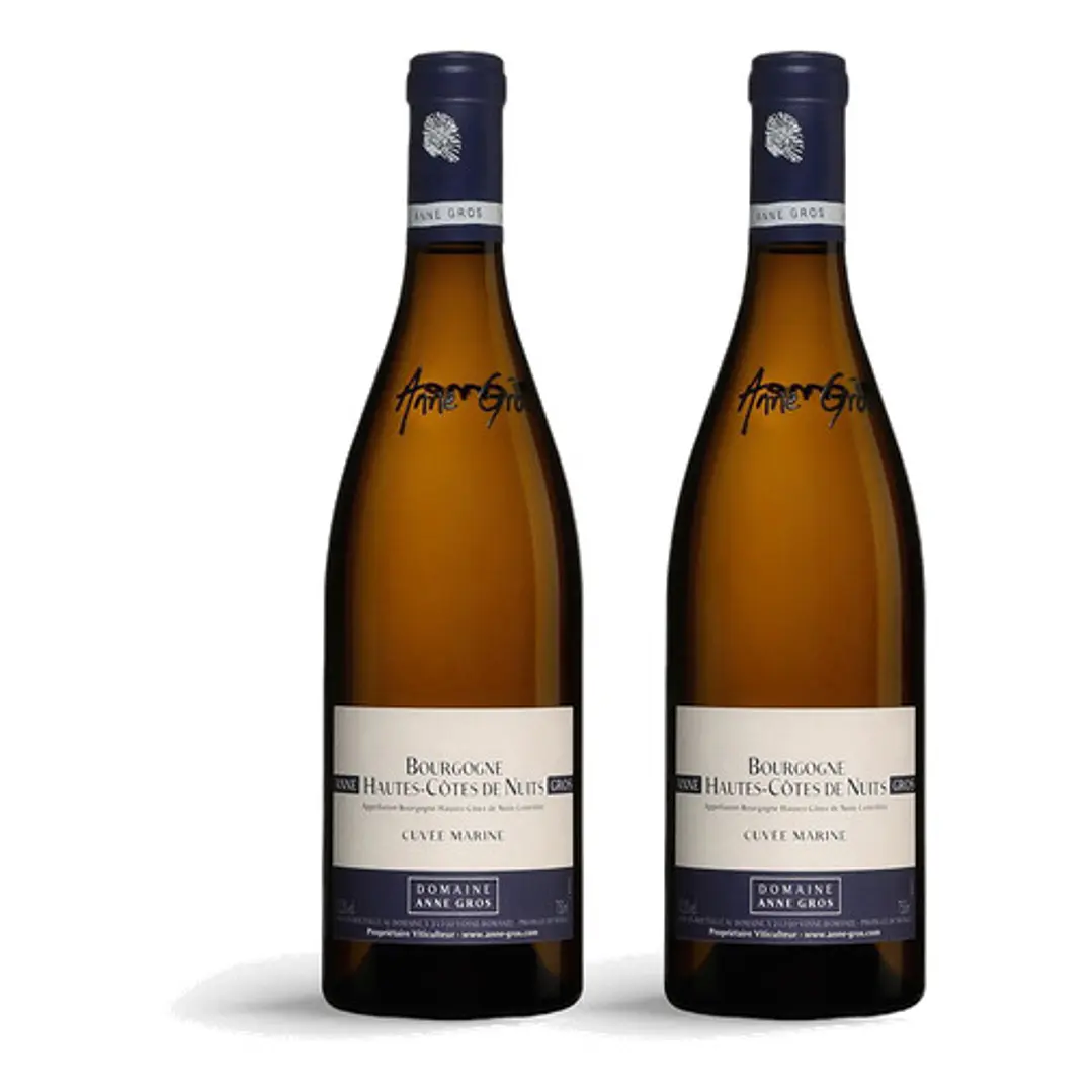 Domaine Anne Gros Hautes Cotes de Nuits Blanc Cuvee Marine Blanc 2022 - 75cl 2