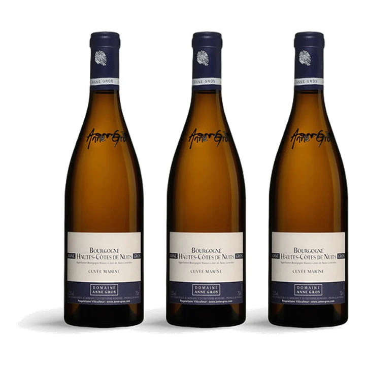 Domaine Anne Gros Hautes Cotes de Nuits Blanc Cuvee Marine Blanc 2022 - 75cl 3