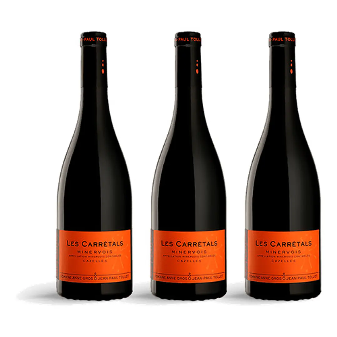 Domaine Anne Gros & Jean-Paul Tollot Minervois Les Carretals 2022 - 75cl 3