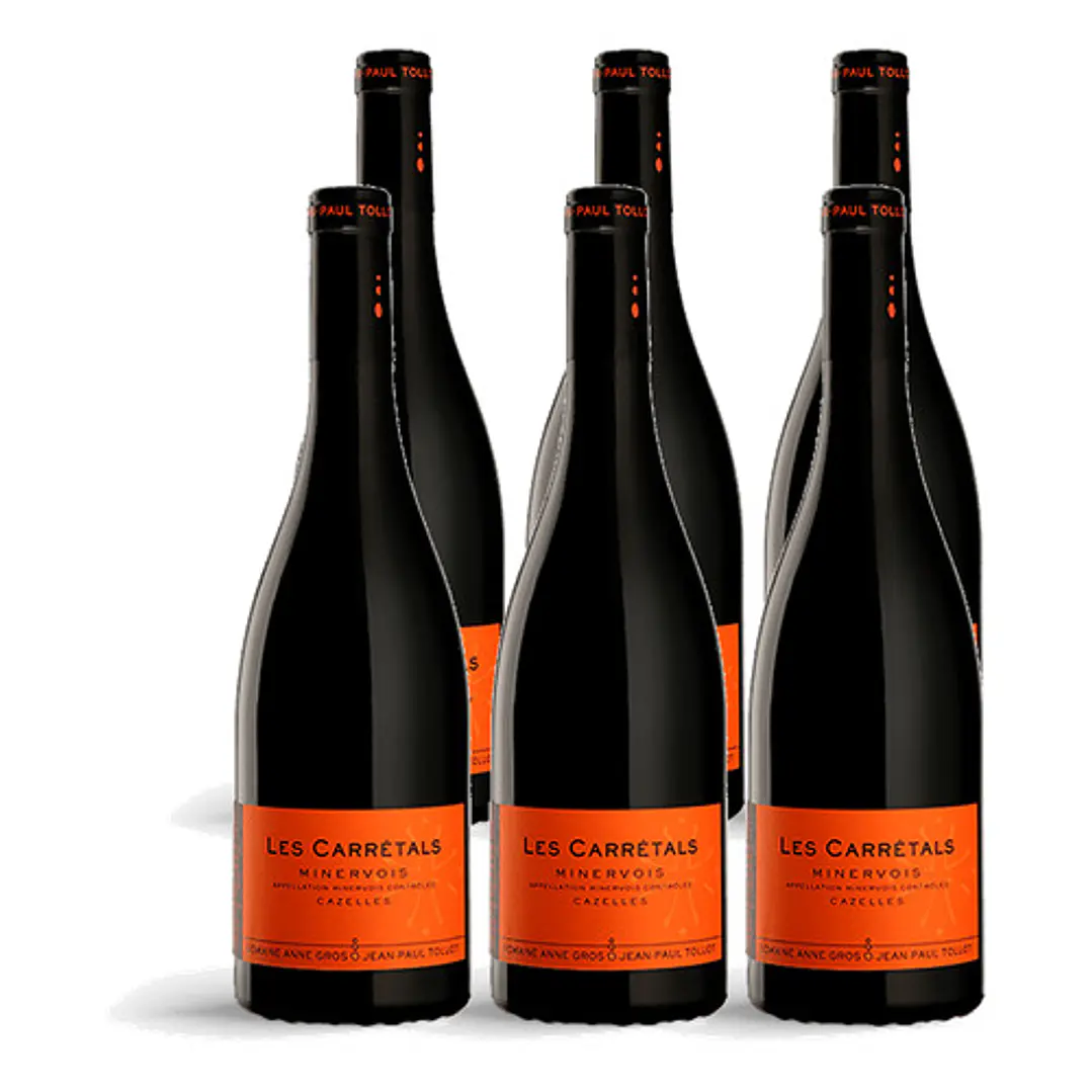 Domaine Anne Gros & Jean-Paul Tollot Minervois Les Carretals 2022 - 75cl 4