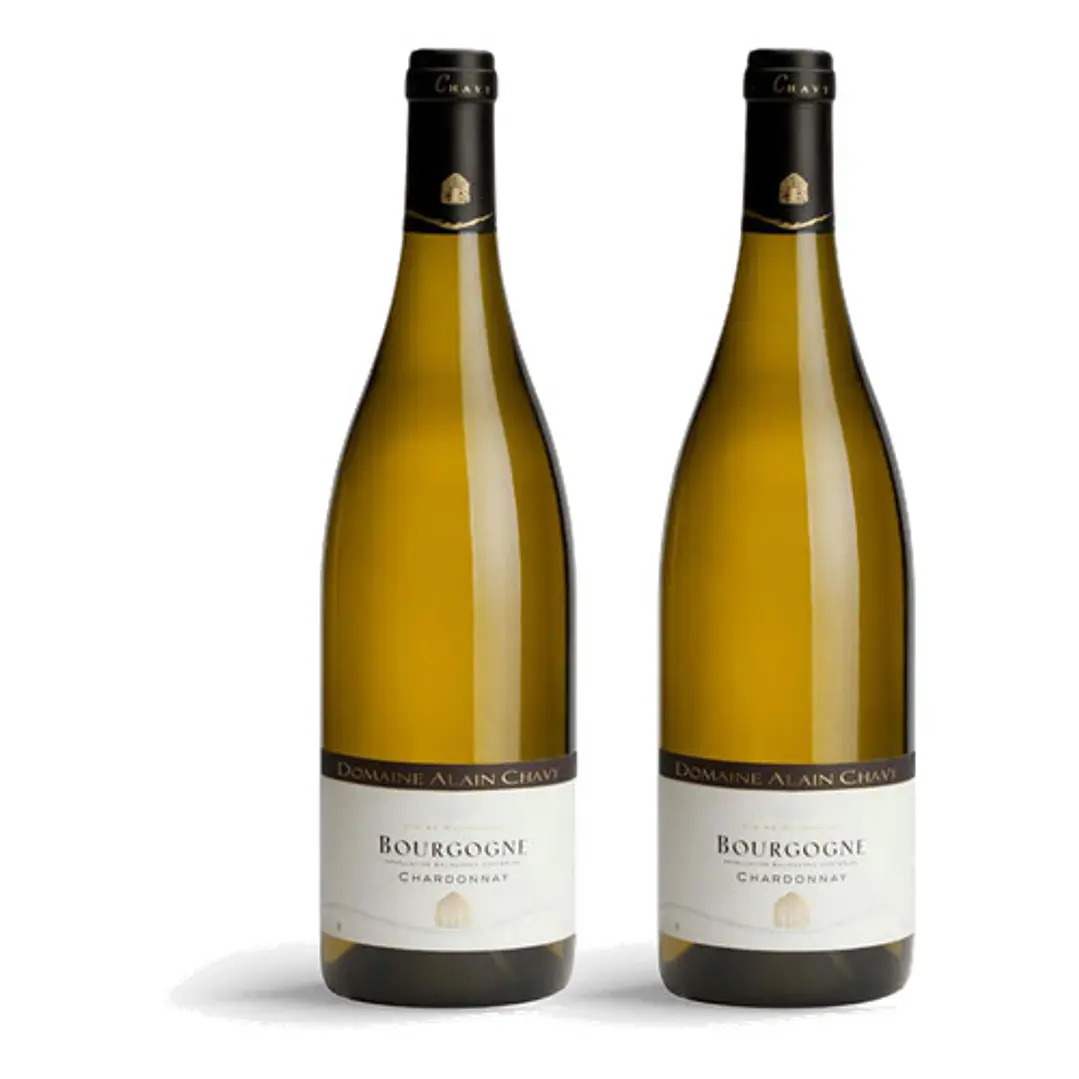 Domaine Alain Chavy Bourgogne Blanc 2022 - 75cl 2
