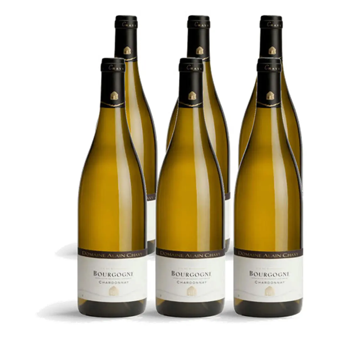 Domaine Alain Chavy Bourgogne Blanc 2022 - 75cl 4