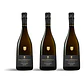 Philipponnat Blanc de Noirs Champagne de Noirs Extra-Brut 2019 - 75cl - Vorschaubild 3