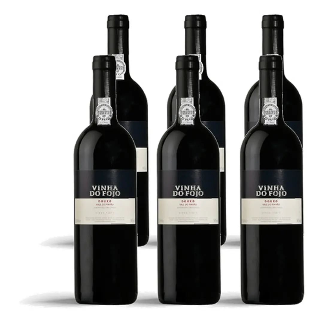 Vinha do Fojo Tinto 2001 - 75cl 4