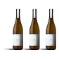 QPA Prova nº5 Branco 2023 - 75cl - Thumbnail 3