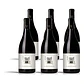 S. Bernardo Tinto 2013 - thumbnail 4