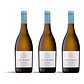 Casal Sta. Maria Malvasia 2023 - 75cl - Thumbnail 3