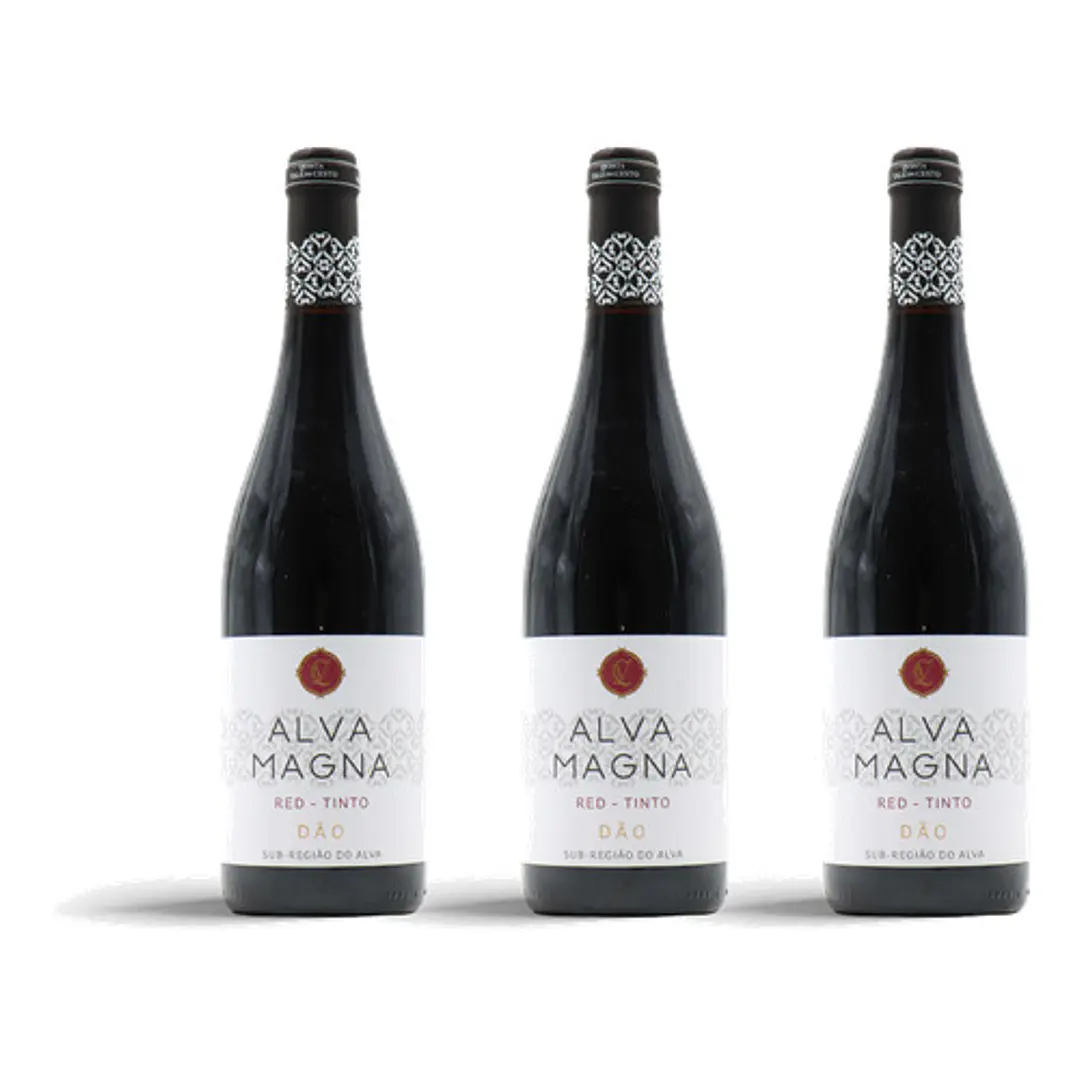 Alva Magna Tinto 2018 - 75cl 3