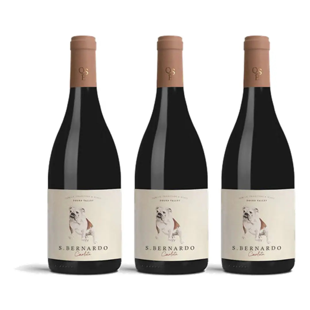 S. Bernardo Carlota Tinto 2017 - 75cl 3