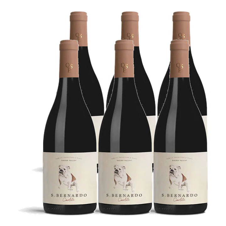 S. Bernardo Carlota Tinto 2017 - 75cl 4