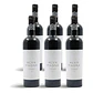 Alva Magna Alfrocheiro Grande Reserva rot 2020 - 75cl - Vorschaubild 4