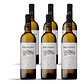 Bacalhôa Greco di Tufo 2023 - 75cl - Vorschaubild 4