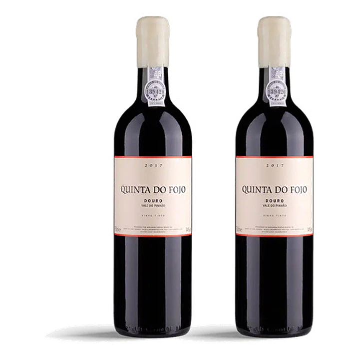 Quinta do Fojo Tinto 2017 - 75cl 2