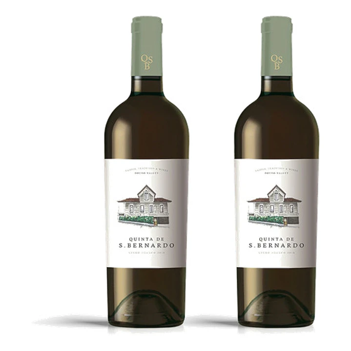 Quinta S. Bernardo Branco 2024 - 75cl 2