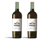 Quinta S. Bernardo Branco 2024 - 75cl - Vorschaubild 2