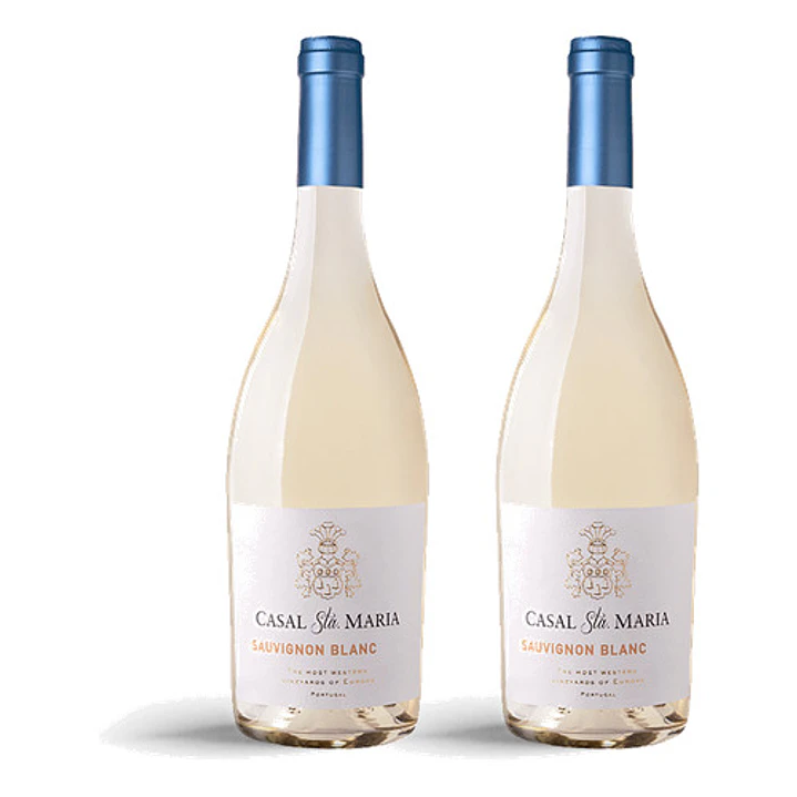 Casal Sta. Maria Sauvignon Blanc 2024 - 75cl 2