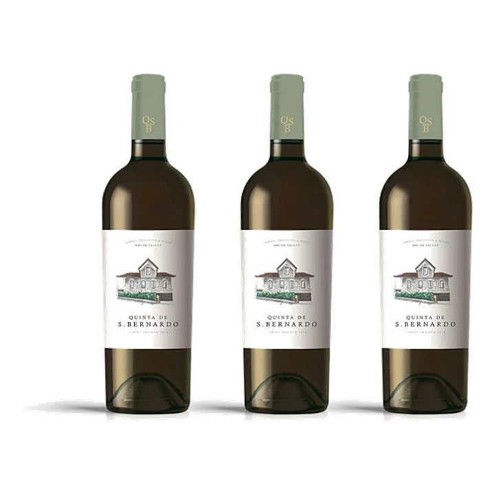 Quinta S. Bernardo Branco 2024 - 75cl 3