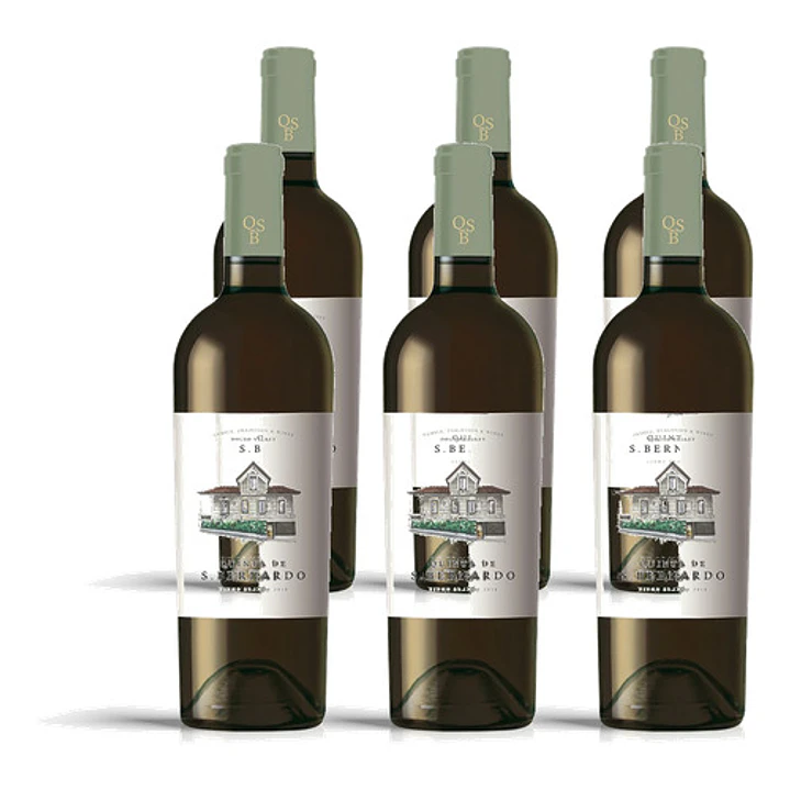 Quinta S. Bernardo Branco 2024 - 75cl 4