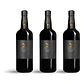 QPA Porto LBV 2019 - 75cl - Thumbnail 3