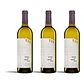 Quinta da Pedra Alta Pedra a Pedra Branco 2024 - 75cl - Miniatura 3