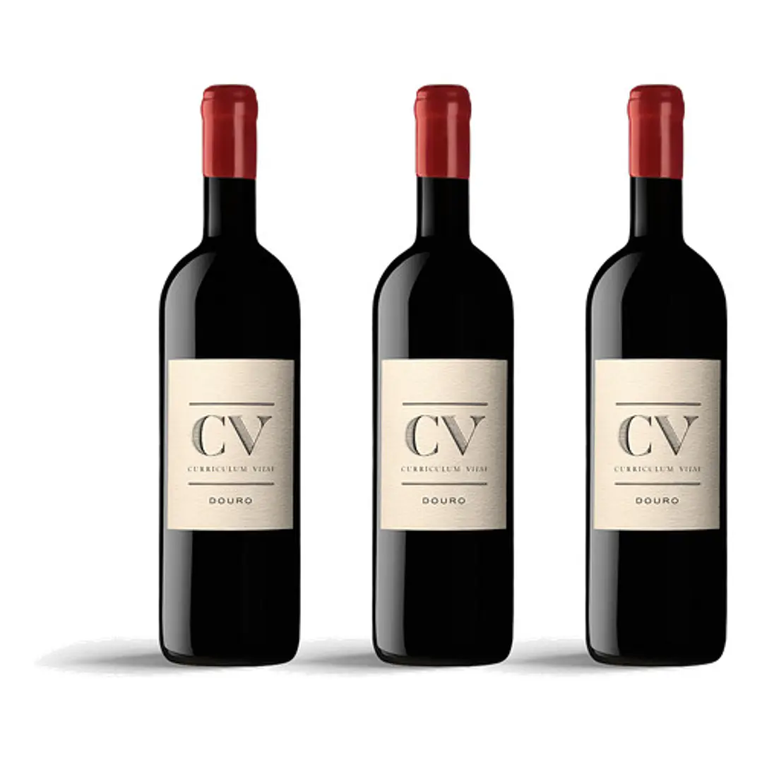 Van Zellers CV Tinto 2021 - 75cl 3