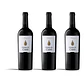 Quinta de Cidrô Marquis Tinto 2014 - 75cl - miniatura 3