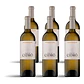 Quinta de Cidrô Sauvignon Blanc 2024 - 75cl - vignette 4