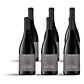 Quinta de Cidrô Pinot Noir 2024 - 75cl - Vorschaubild 4