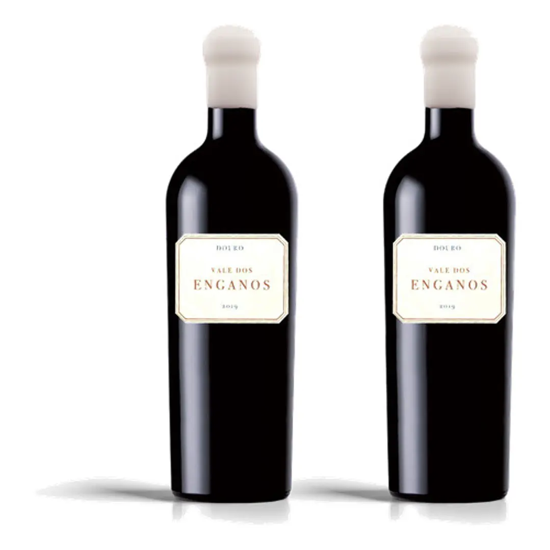Vale dos Enganos Tinto 2021 - 75cl 2