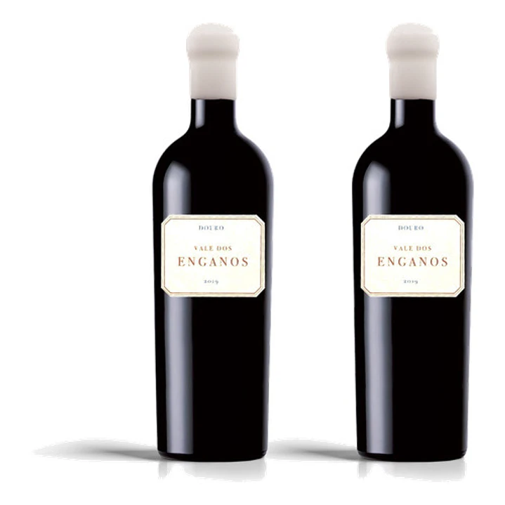 Vale dos Enganos Tinto 2021 - 75cl 2