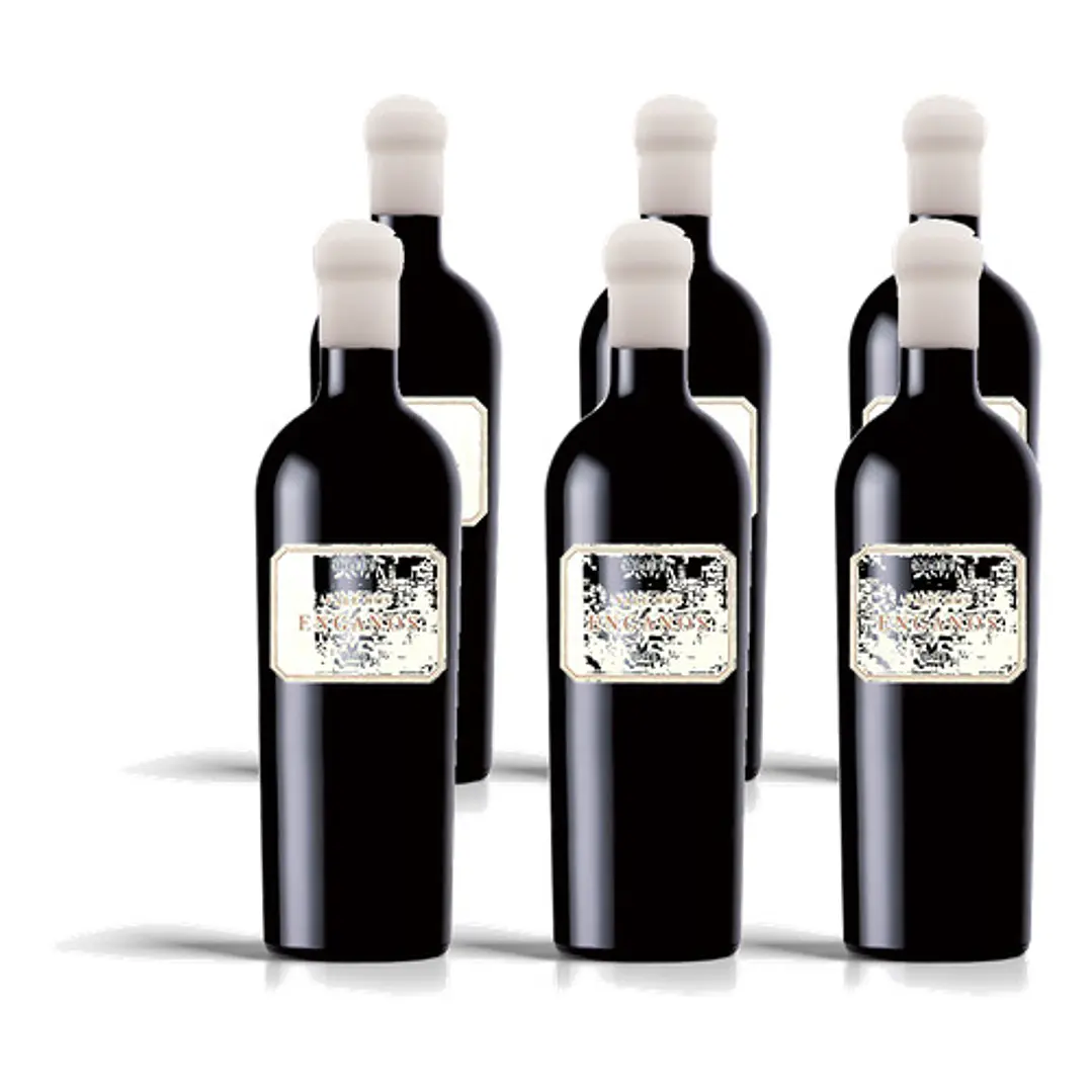 Vale dos Enganos Tinto 2021 - 75cl 4