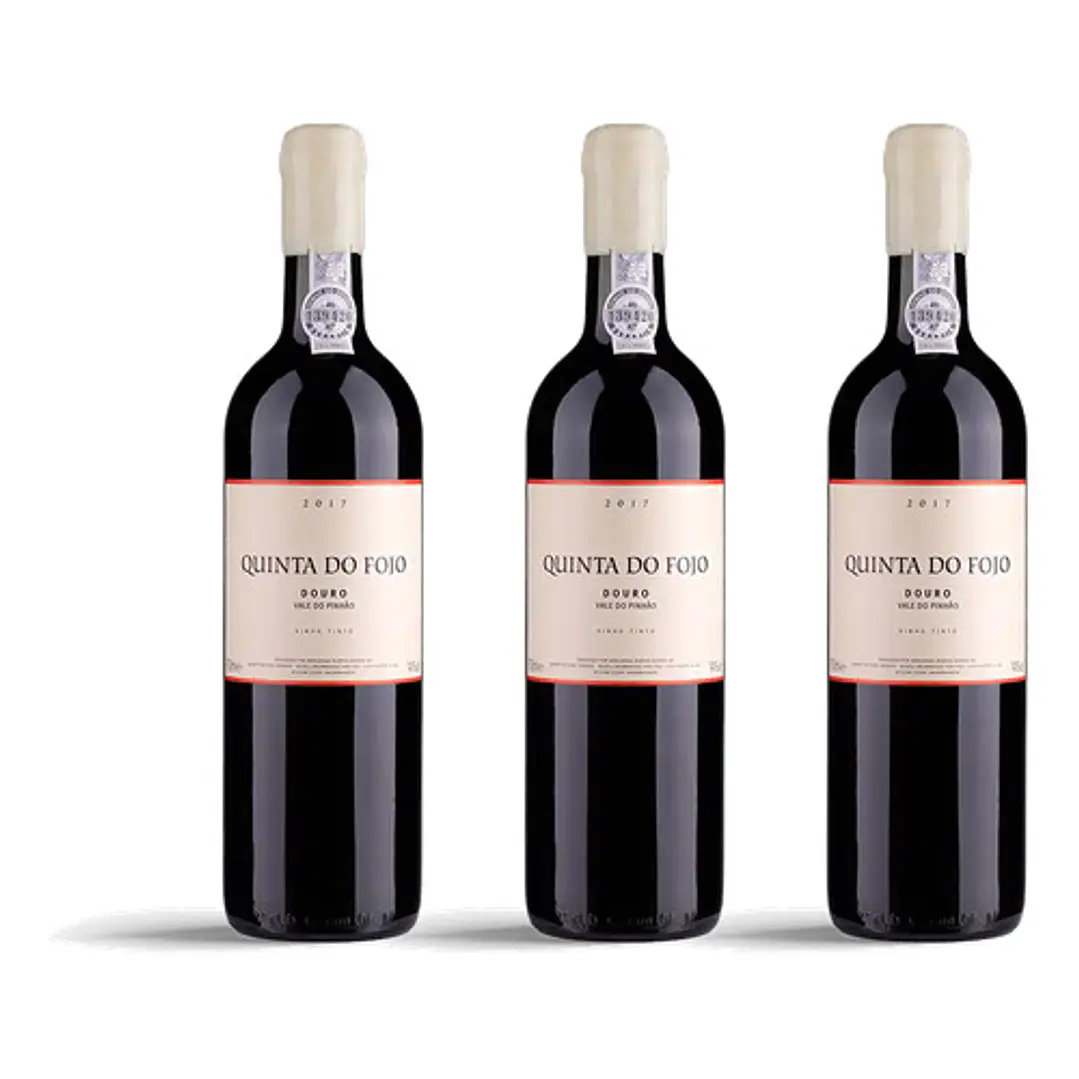 Quinta do Fojo Tinto 2017 - 3l 3