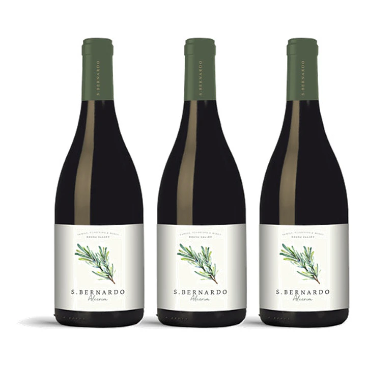 S. Bernardo Alecrim Branco 2023 - 75cl 3