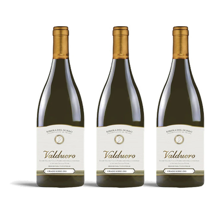 Bodegas Valduero Blanco 2021 - 75cl 3