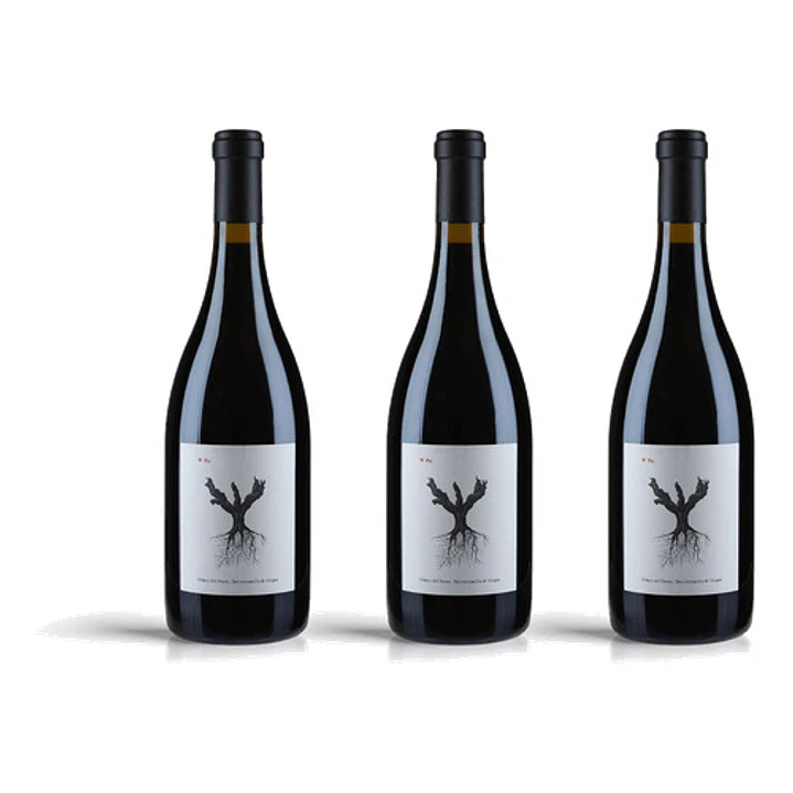 Dominio de Pingus Pingus 2023 - 75cl 3