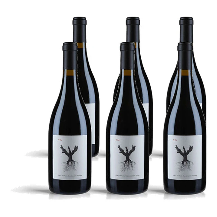 Dominio de Pingus PSI 2023  - 75cl 4