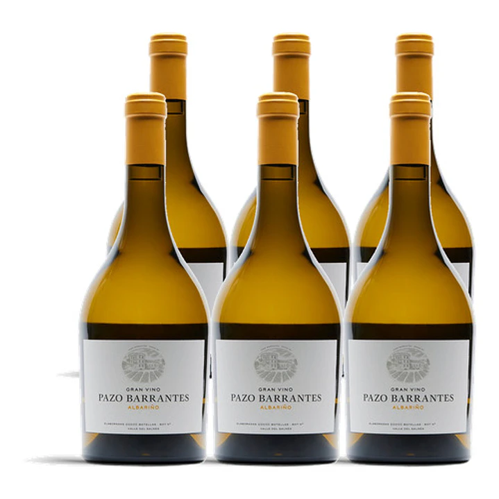 Marqués de Murrieta Pazo Barrantes Albariño 2022 - 75cl 4