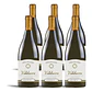 Bodegas Valduero Blanco 2024 - 75cl - vignette 4