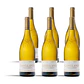 Marqués de Murrieta Capellania Reserva 2020 - 75cl - Vorschaubild 4
