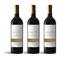 Benjamin de Rothschild & Vega Sicilia Macan 2021 - Miniatura 3