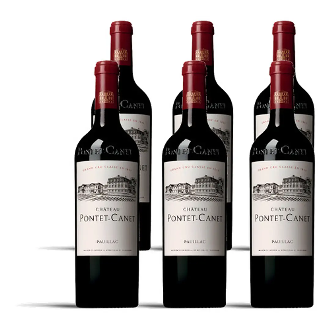 Château Pontet-Canet 2010 - 75cl 4