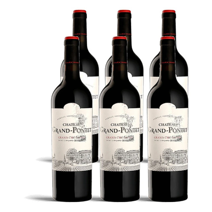 Château Grand-Pontet 2010 - 75cl 4