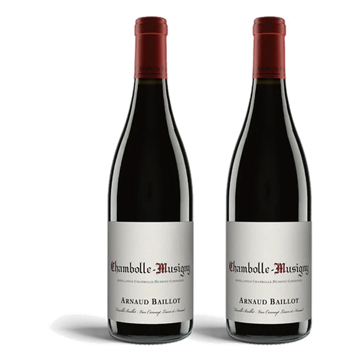 Arnaud Baillot Chambolle Musigny Premier Cru Rouge 2021 - 75cl 2