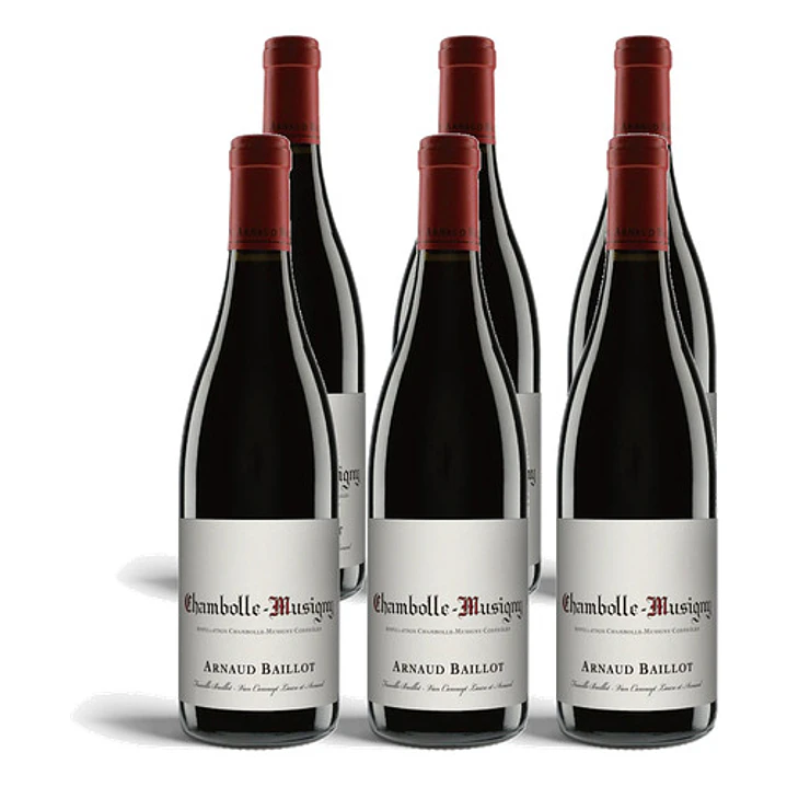 Arnaud Baillot Chambolle Musigny Premier Cru Rouge 2021 - 75cl 4