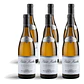 M. Chapoutier Crozes-Hermitage La Petite Ruche Blanc 2023 - 75cl - vignette 4