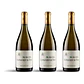 Rotem & Mounir Saouma Châteauneuf-du-Pape Magis Blanc 2023 - 75cl - vignette 3