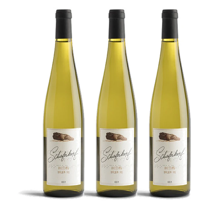 Schieferkopf Riesling Trocken-Sec 2023 - 75cl 3