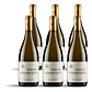 Rotem & Mounir Saouma Châteauneuf-du-Pape Magis Blanc 2023 - 75cl - vignette 4