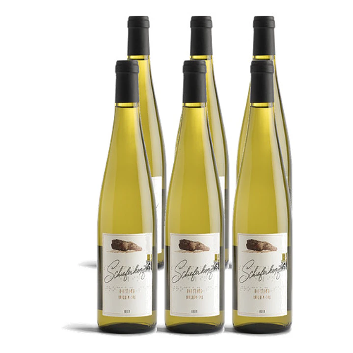 Schieferkopf Riesling Trocken-Sec 2023 - 75cl 4